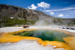 de Morning Glory hot spring | Yellowstone National Park