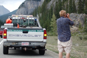 wildlife spotten langs de weg | Yoho National Park