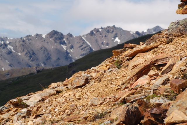 denali np2